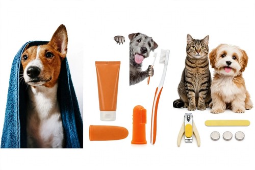 Kit toelettatura cane 3in1 - cane,